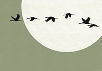 Sunset Crane - Green