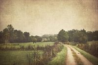 Ländliche Landschaft