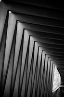 Rhythmische Schatten