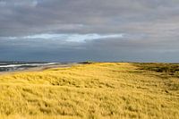 Texel Dunes