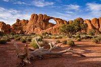 Arches Nationalpark