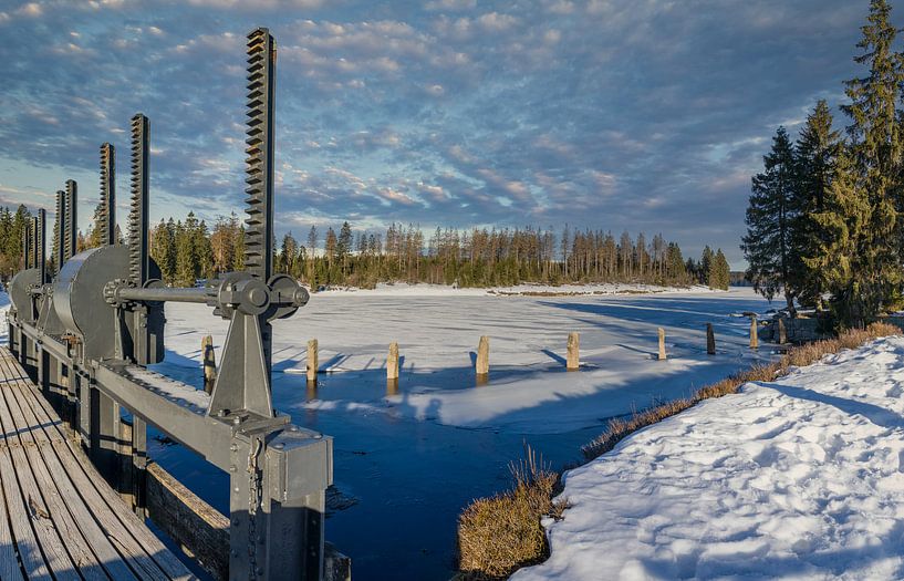 Winterschönheit von Mart Houtman