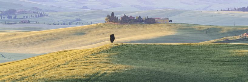 Landscape at sunrise around Pienza, Val d'Orcia, Tuscany by Walter G. Allgöwer
