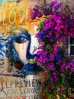 Behind the bougainvillea