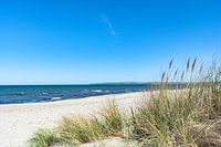 Dunes on the beach in Glowe on Rügen, Schaabe