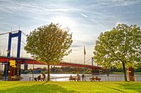 Mühlenweide am Hafen in Duisburg-Ruhrort (7-38543)