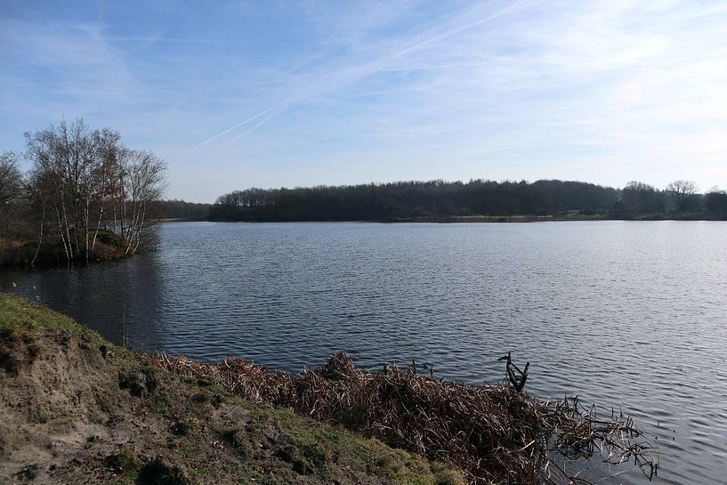 Wyldemerk von Jan Albada