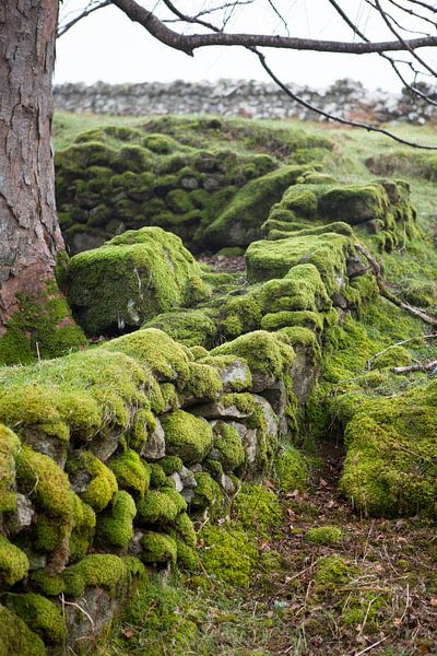 Wall in Wicklow National Park, Ireland by Kees van Dun