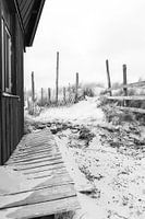 Verlaten Strandhut op Texel