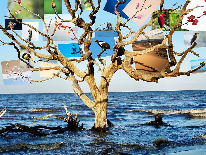 Baum des Lebens von Jonas Potthast