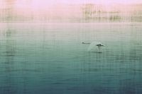 Ein perfekter Morgen