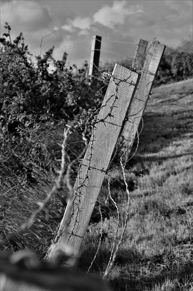 Palen met Prikkeldraad Zwart Wit by DoDiLa Foto's