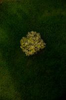 L'automne vu d'en haut