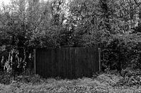 Black gate in the middle of the forest.