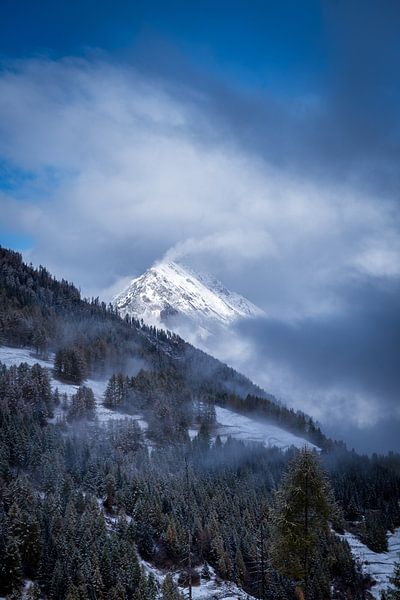 Winters landschap by Cas Mulder