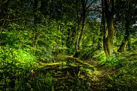 Once upon a time.......