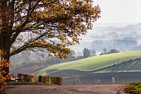 Hilly landscape in autumn