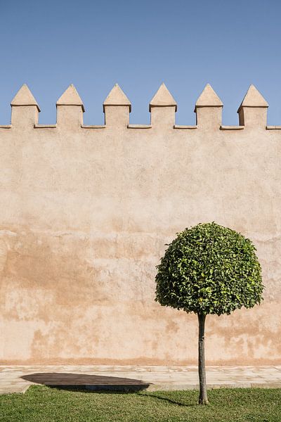 Old city wall with a tree in Morocco by Photolovers reisfotografie