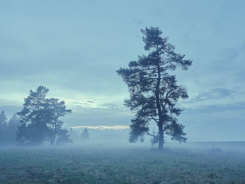 heure bleue par Max Schiefele