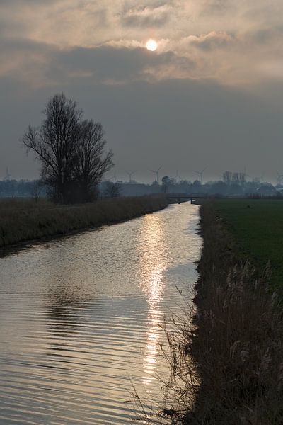 Wintersonne von Rolf Pötsch