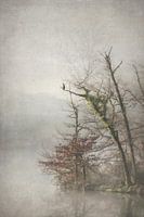 Vogel auf einem Baum sitzend