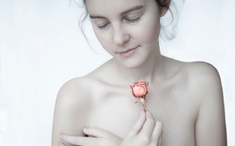 Tender von Diane Cruysberghs