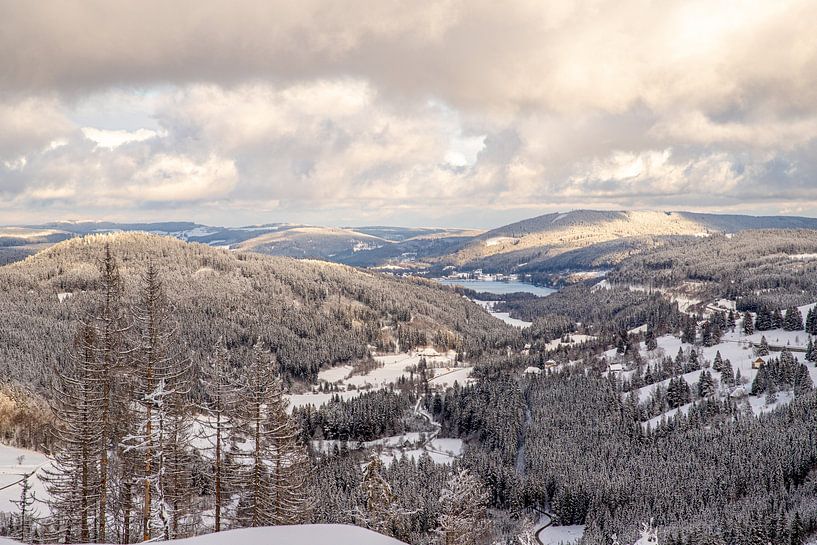 Vue sur la Forêt-Noire près de Titisee par Alexander Wolff
