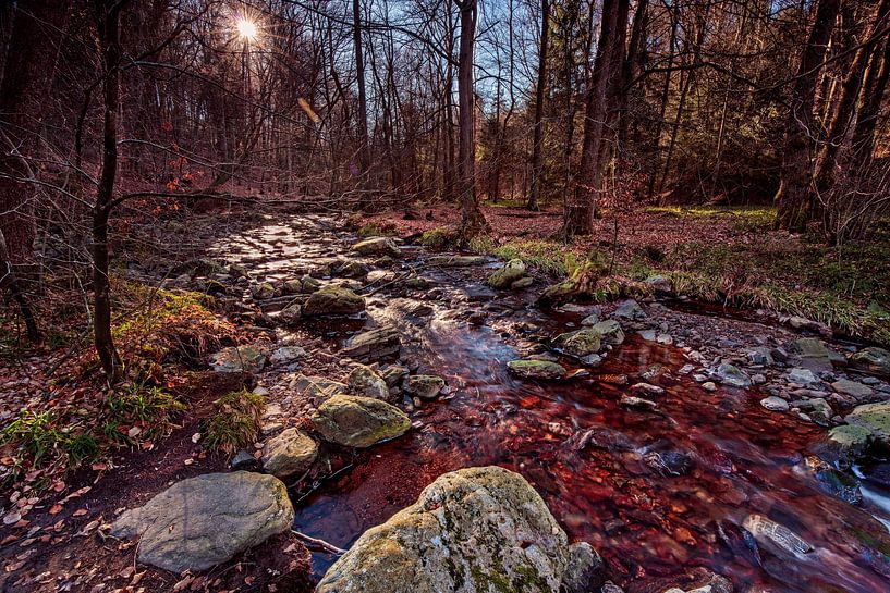 Mountain river La Hoëgne by Rob Boon