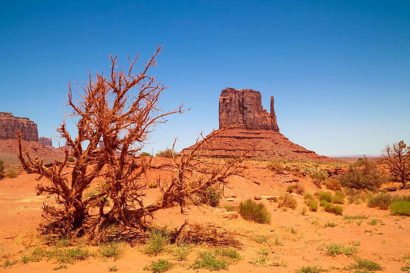 MONUMENT VALLEY West Mitten Butte &amp; Landschaft  von Melanie Viola