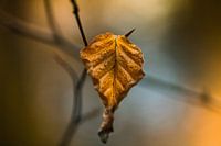 Atmospheric background.