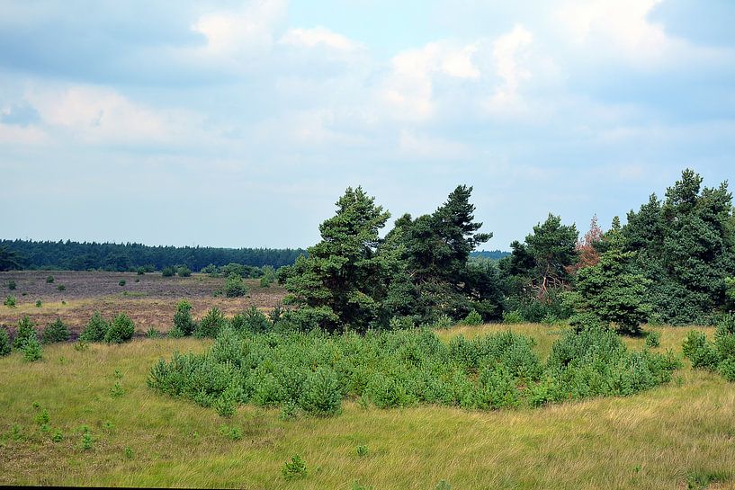 diepte hoogte  by Diane Schnelle