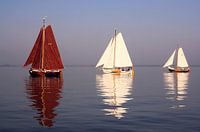 Lemsteraken in still weather