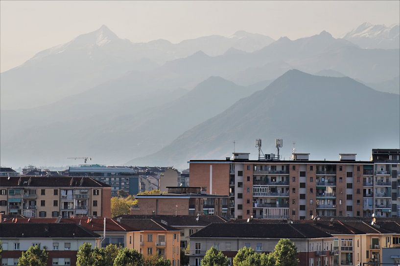 Früh wach von ilja van rijswijk