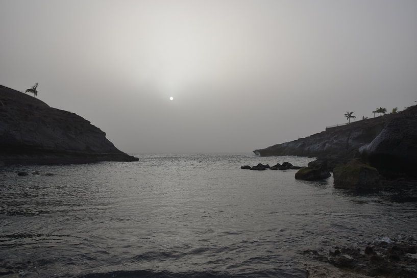 Teneriffas Küste von Matthias Spartz