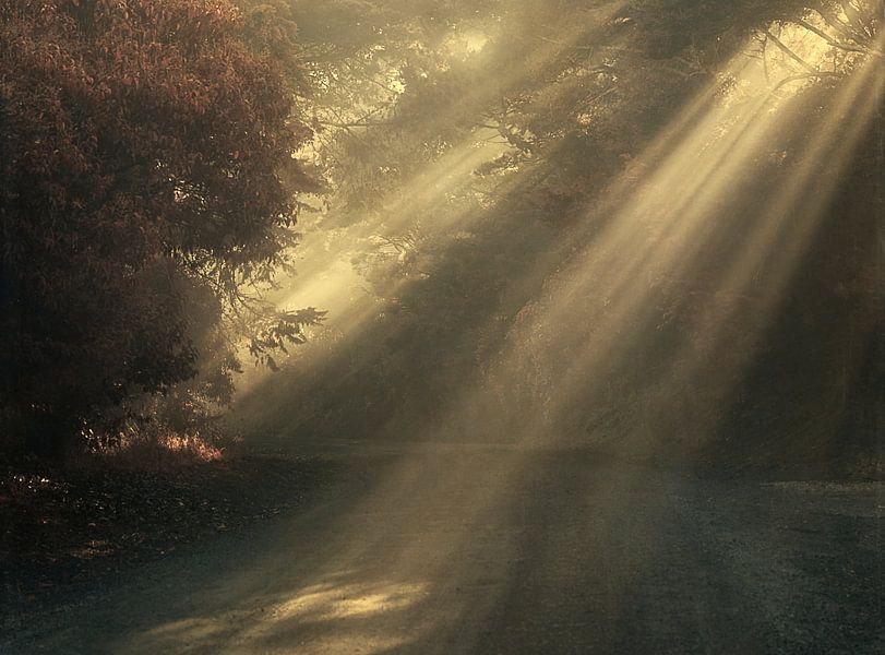 Gott strahlt von Marina de Wit