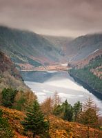 Lake in the forest in Ireland