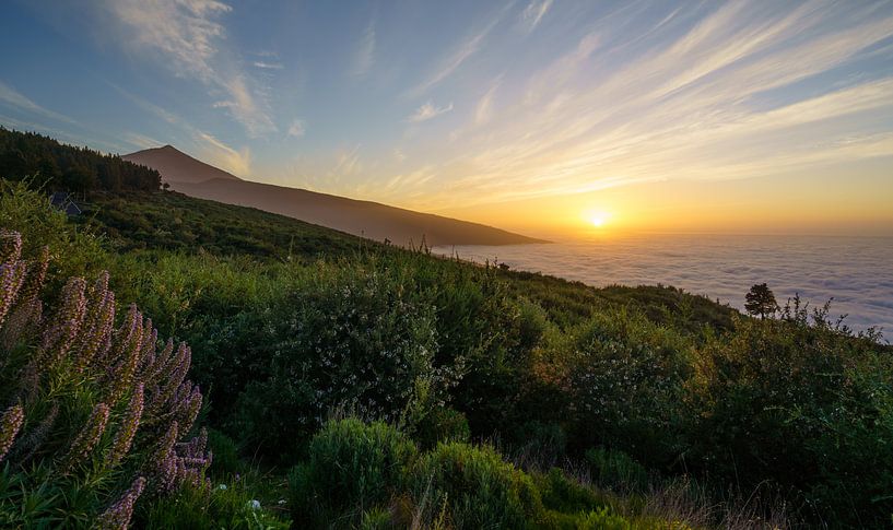 Teide sunset by Steven Driesen