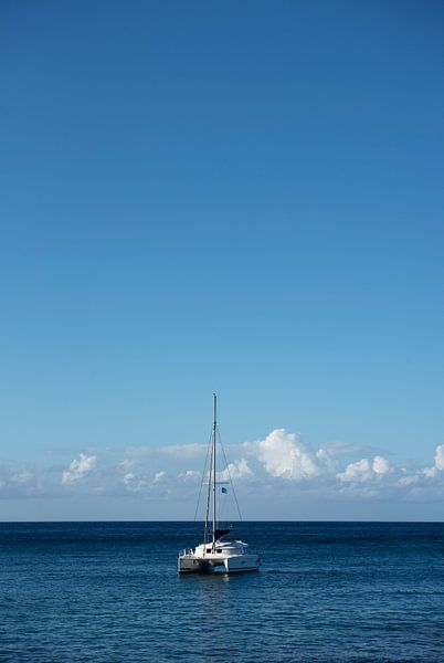 Catamaran en mer par Margot van den Berg