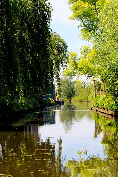 Roelofarendsveen by PJGDesign