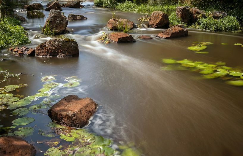 Windows Ae Oost- Groningen par Marga Vroom