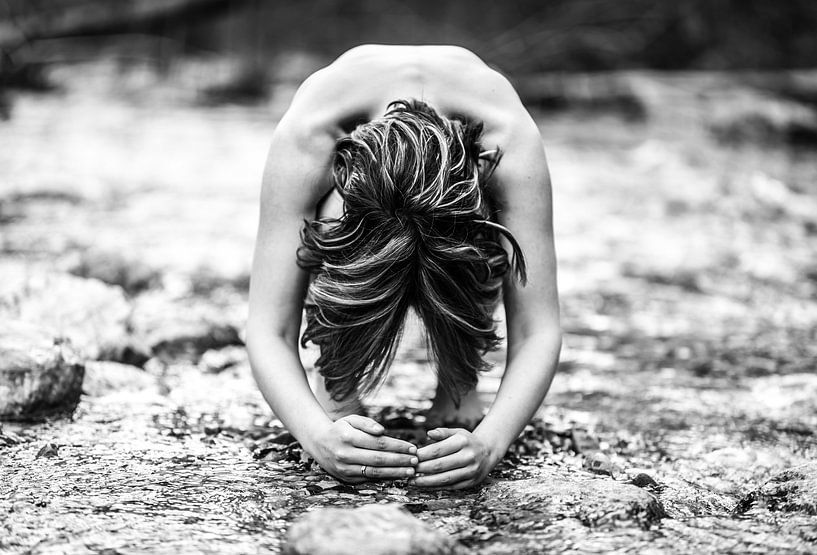 Attention : pieds mouillés ! par Werner Lerooy