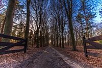 Beschaulicher Weg zur Stille