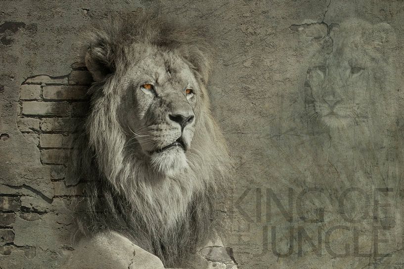 Roi de la jungle par Michar Peppenster
