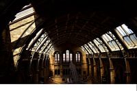 National History Museum London