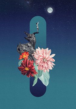 Volle maan van Dominik Przerwa