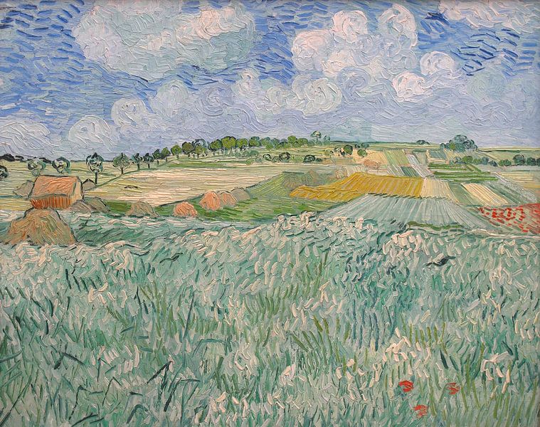 Ebene bei Auvers, Vincent van Gogh von Meisterhafte Meister