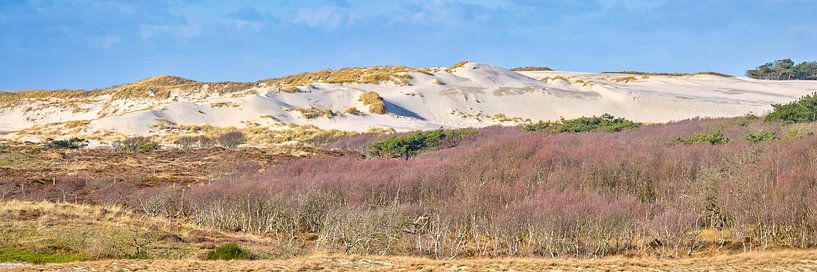 Dünenlandschaft Noordhollands Duinreservaat von eric van der eijk