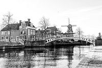 Dokkum