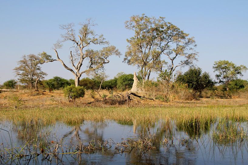 Weerspiegeling von Marijke van Noort