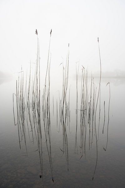 Schweigen von David Ahern